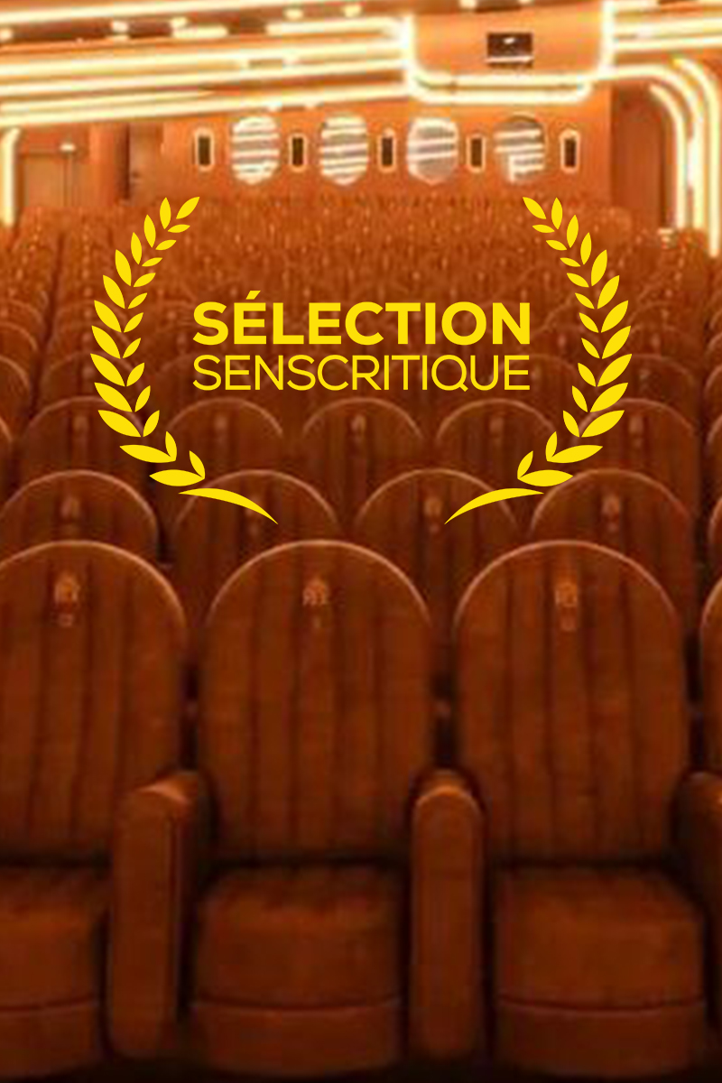 Sens Critique Selection